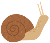 escargot